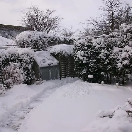 Strandraeuber 3* קליפורניין