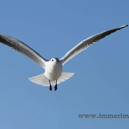 Strandraeuber