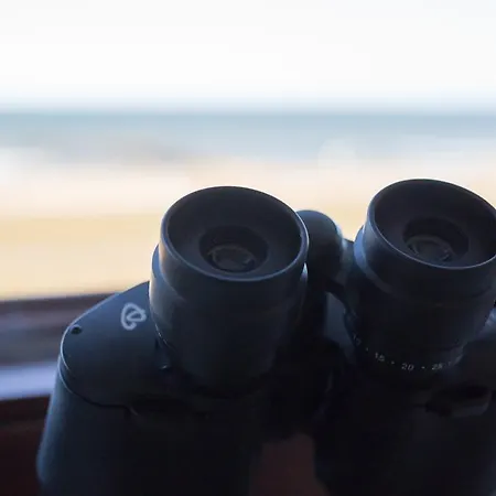 Strandraeuber 3* קליפורניין