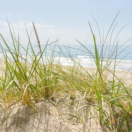Strandraeuber