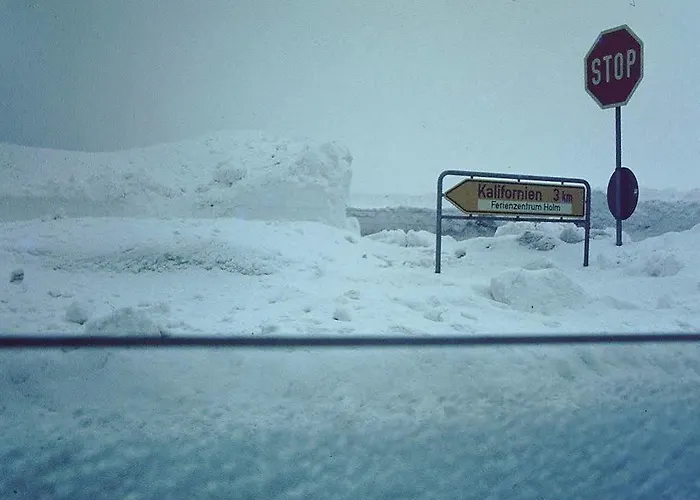 酒店 Strandraeuber 加利福尼亚