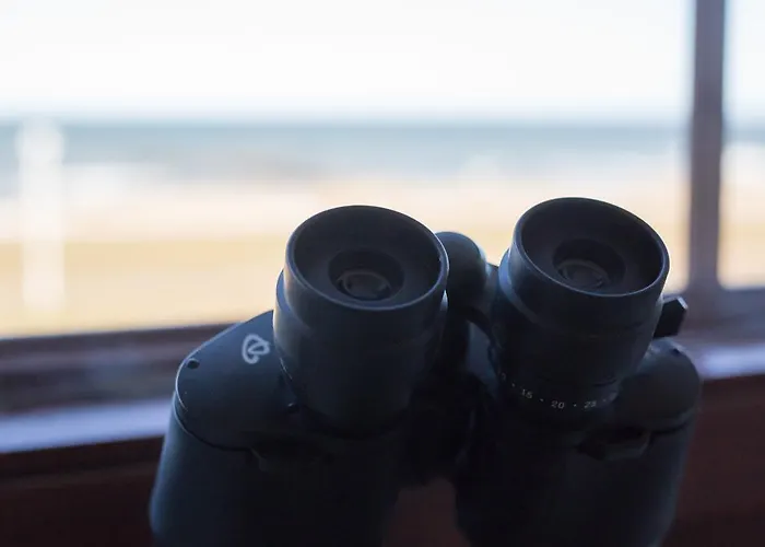 Strandraeuber 3* 加利福尼亚