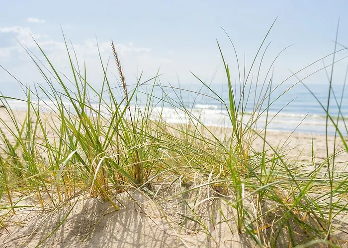 Strandräuber
